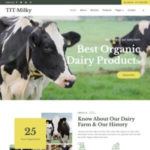 Read more about the article 