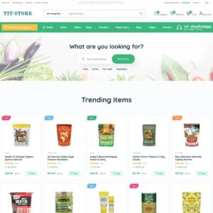 Read more about the article 