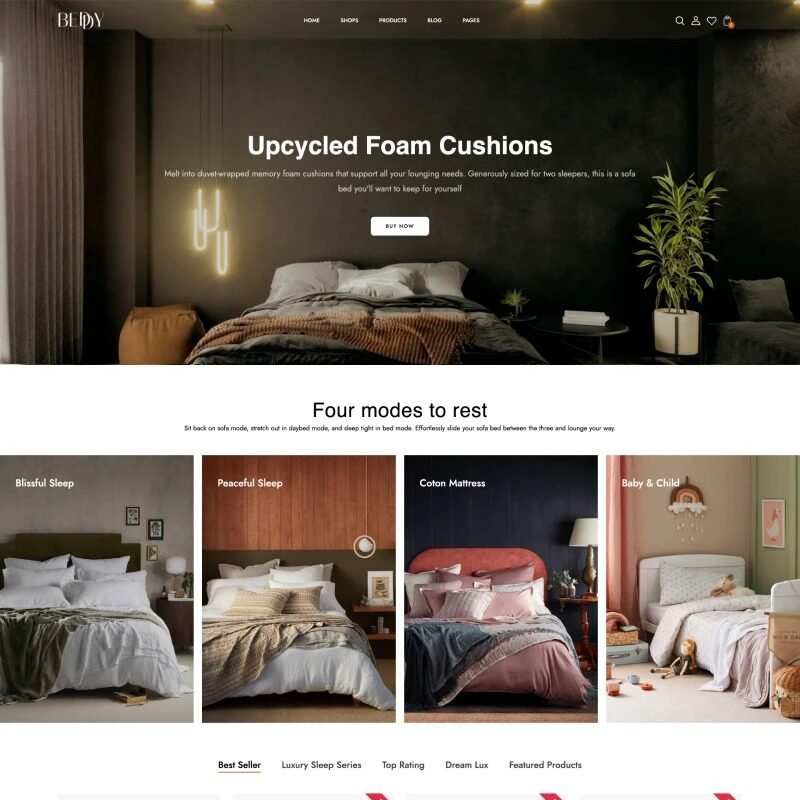 Read more about the article 