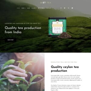 Read more about the article 