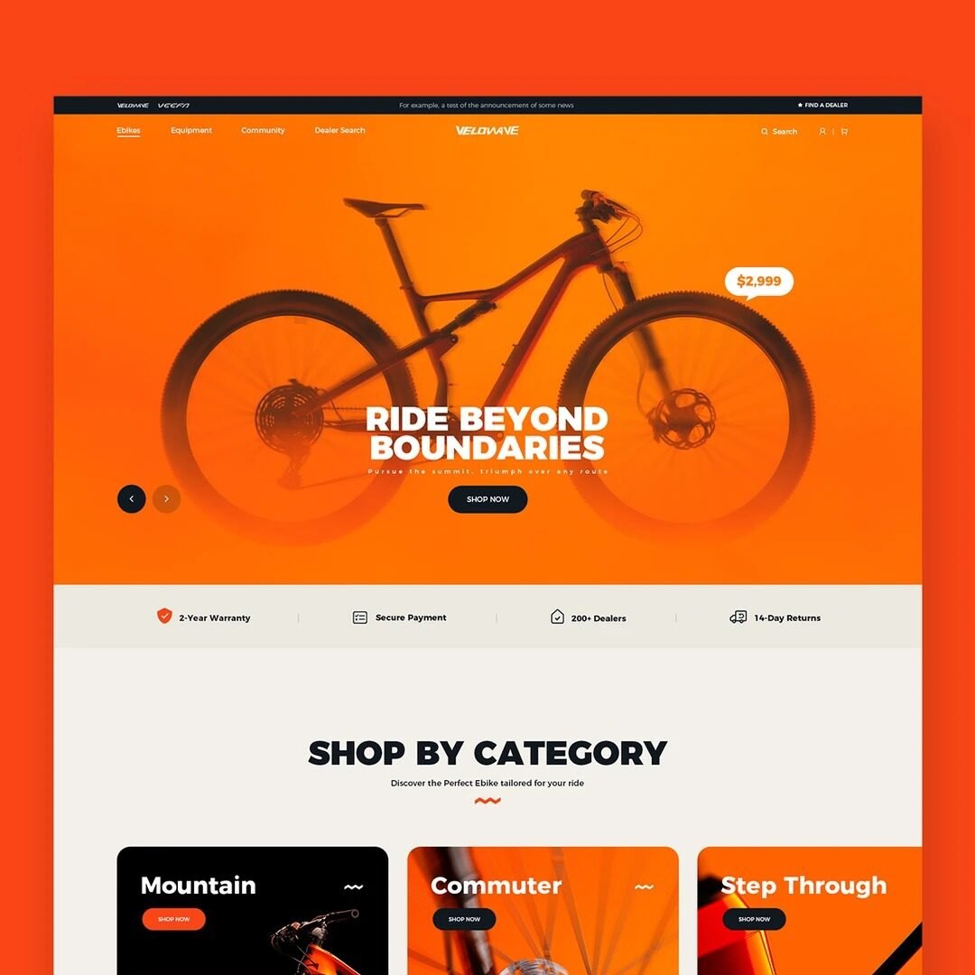 Read more about the article 