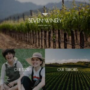 Read more about the article 