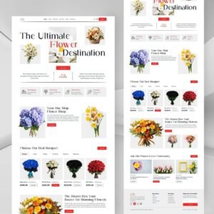 Read more about the article 