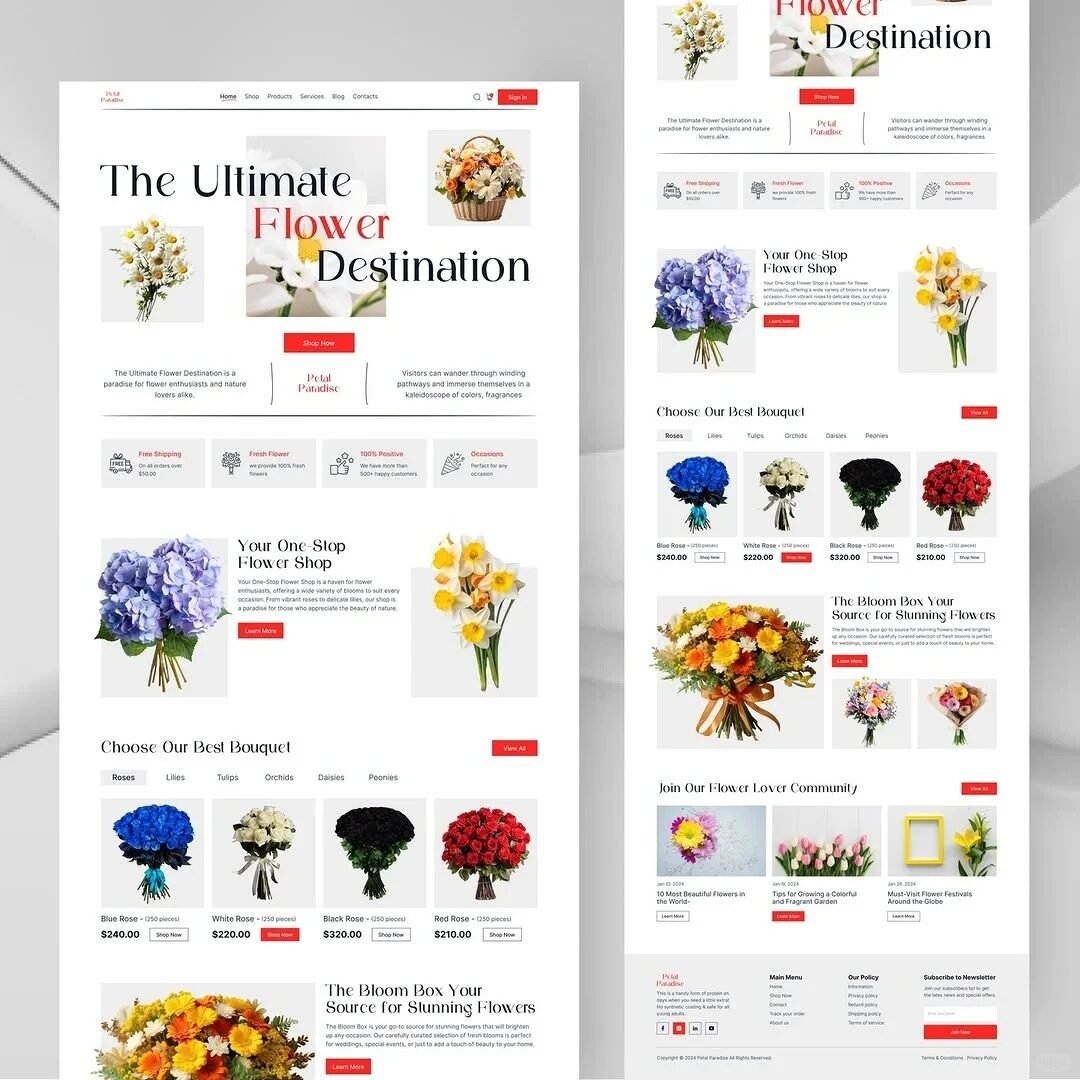 Read more about the article 